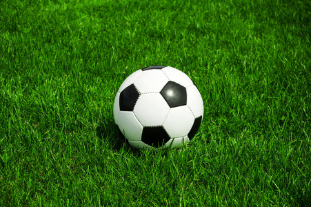 天天盈球比分网平台界面展示